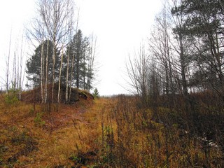 Дорога Свинки - Черухи (Дмитрий Зонов)