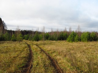 Дорога к охотничьей избушке (Дмитрий Зонов)