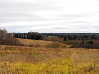 Тут была д.Мыльники (перепахана) (Дмитрий Зонов)