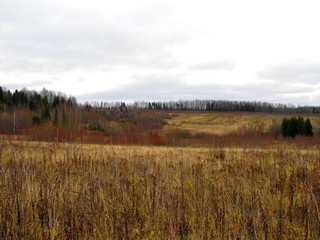 Поздняя осень (Дмитрий Зонов)