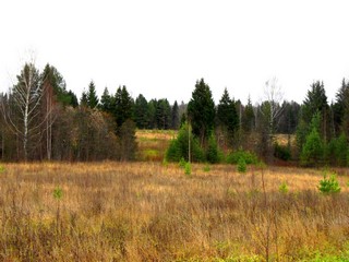 Октябрь (Дмитрий Зонов)