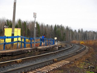 Извилины (Дмитрий Зонов)