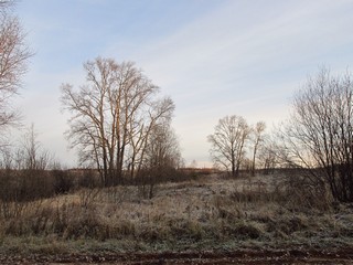 Б/д Каравайчики (Дмитрий Зонов)