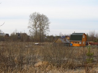 Дачи у б/д Глушонки (Дмитрий Зонов)