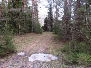 Дорога Б.Шиям-Репницы (Дмитрий Зонов)