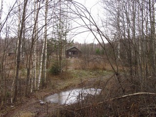 Бывшая деревня Репницы (Дмитрий Зонов)