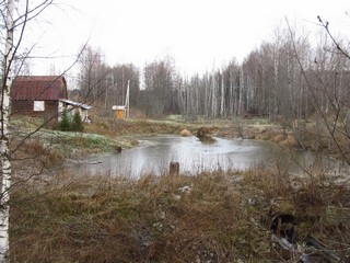 Пруд в д.Репницы (Дмитрий Зонов)