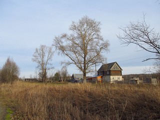 М.Сибирь (Дмитрий Зонов)