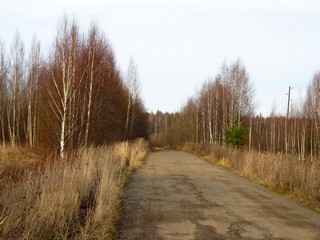 Дорога к д.Цепели (Дмитрий Зонов)