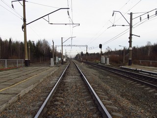 Транссиб у ОП Цепели (Дмитрий Зонов)