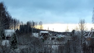 Сады 41 км (Дмитрий Зонов)