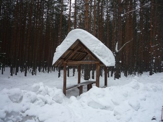 Бобинский лес (bokax)