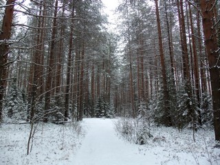 Бор (Дмитрий Зонов)