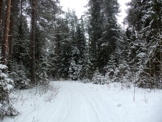 Поворот (Дмитрий Зонов)