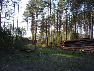 с. Бобино (bokax)