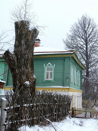 Пень, плетень и резной карниз (Дмитрий Зонов)