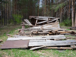 Залез Мишка в теремок, а теремок и... (bokax)