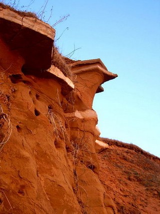 Соколья гора (pashaonline)