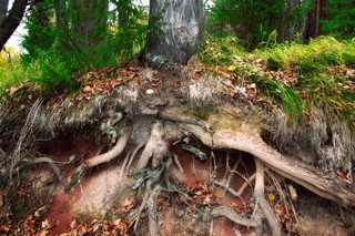 разрез 2 (Dmitry Ovchinnikov)