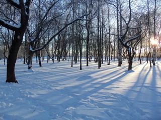 Тени декабрьского полдня (Дмитрий Зонов)