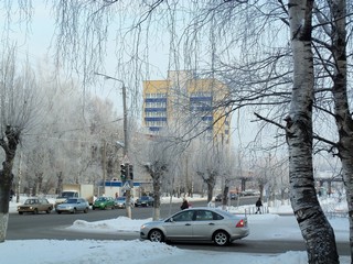 Зимние кружева, угол Лепсе-Физкультурников (Дмитрий Зонов)