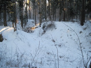 Карлутское 1 (Yan Gorev)