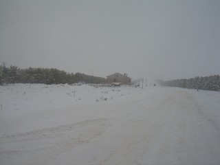 вид на север (Dmitrii Voronchikhin)