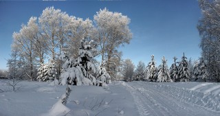 2822 (Феликс Цешнатий)