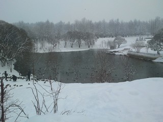 Парк им. Кирова (Andrey Nikolskiy)