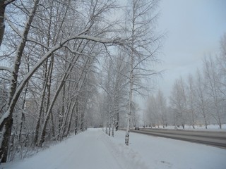 Кирово-Чепецк 12.01.2013 (Andrey Ivashchenko)