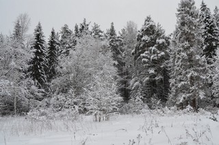 За рекой (г. Орлов) (pivovarovya)