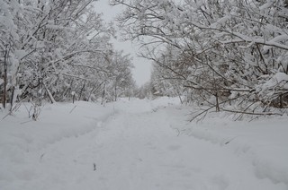 За рекой (г. Орлов) (pivovarovya)