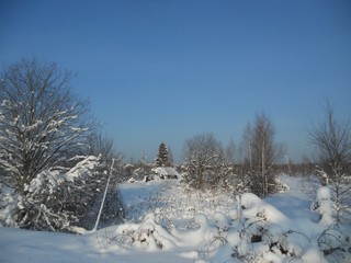 Зарецк (Oscar Che)