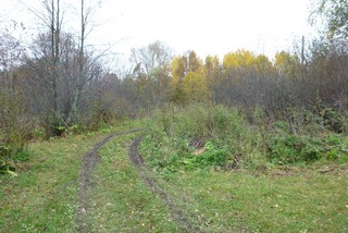 Здесь была дер.Кушово. (Пионер Семидесятых)