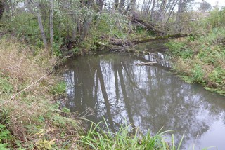 р.Ярань в дер.Кушово (Пионер Семидесятых)