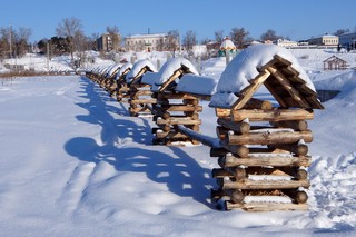 Изгородь на Шишкинских Прудах (Инна Соколова)