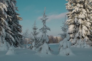 Дефиле (Dmitrii Voronchikhin)