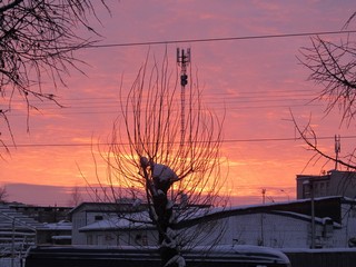 Январский рассвет (Дмитрий Зонов)