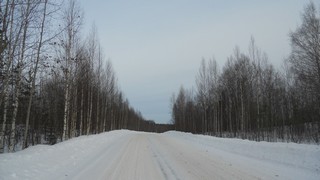 Дорога Великорецкое-Юрья (Andrey Ivashchenko)