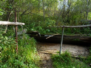 д. Лухтаново, родник (колода),  Лузский р-он, Кировская обл. (Konstantin_Karpenko)