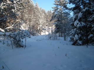 Овраг у Нагорного кладбища (Yan Gorev)