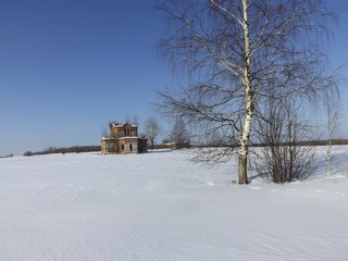 Берёзка, б/с Рязань (Дмитрий Зонов)