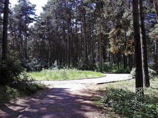 Парк на Дружбе (dmitry voskr)