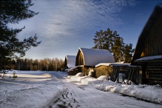 Дачи (Ольга Цешнатий)