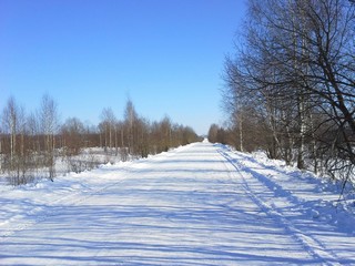 От Моломы в Тохтино (Pavel Ermolaev)