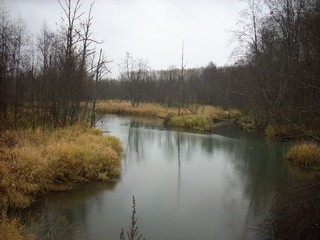 р.Ивкинка (Jmscent)