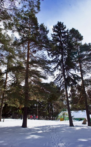 Клуб собаководства на ул. Ракетной (Boris Busorgin)