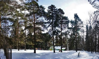 Клуб собаководства на ул. Ракетной (Boris Busorgin)