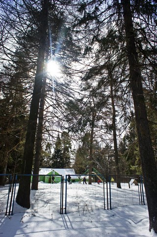 Клуб собаководства на ул. Ракетной (Boris Busorgin)