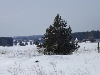 Дачи у Назарово (Дмитрий Зонов)